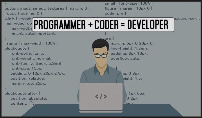 programmer or developer